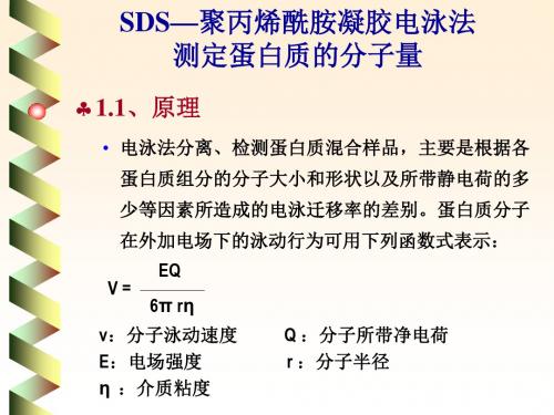 浙江大学生物化学实验甲SDS—聚丙烯酰胺凝胶电泳法测定蛋白质分子量