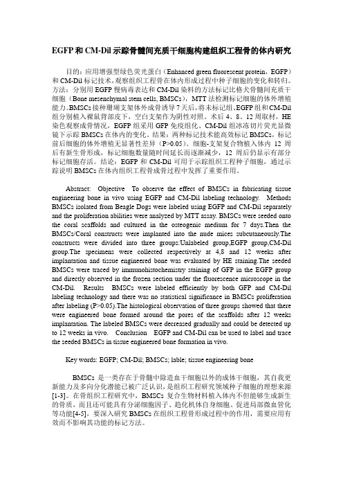 EGFP和CM-Dil示踪骨髓间充质干细胞构建组织工程骨的体内研究