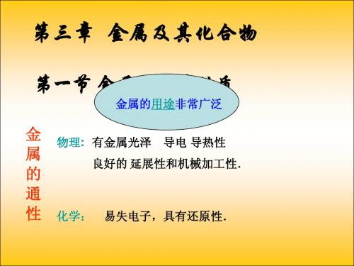 新课标人教版高一化学必修1第三章第一节 金属的化学性质PPT课件[原创] .ppt