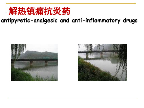 药理学PPT课件 解热镇痛抗炎药