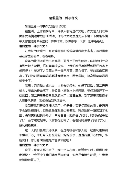 暑假里的一件事作文