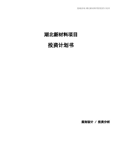 湖北新材料项目投资计划书