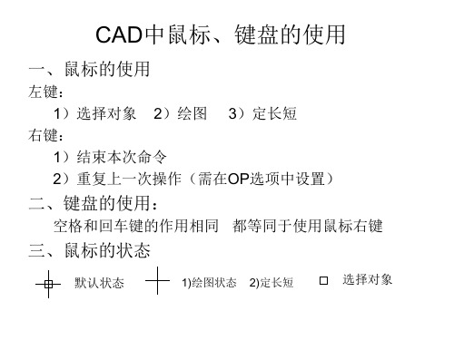 CAD中鼠标、键盘的使用