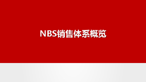 NBS销售体系概览