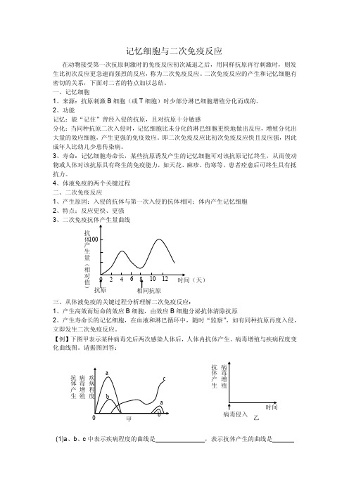 记忆细胞与二次免疫详解