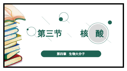 第三节 核酸课件-高二下学期化学人教版(2019)选择性必修3