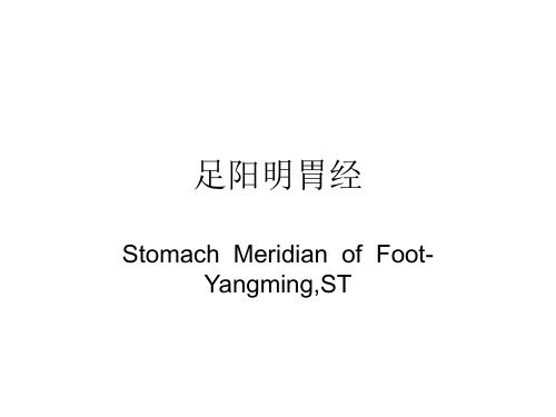 足阳明胃经
