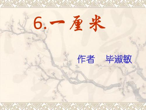 《一厘米》课件6(13张PPT)(语文版九年级上)