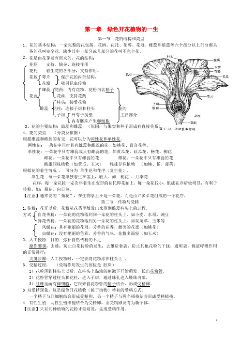 八年级生物上册 第四单元 第一章 绿色开花植物的一生复习提纲