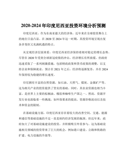 2020-2024年印度尼西亚投资环境分析预测