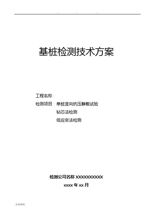 检测技术方案(静载、钻芯法,低应变)