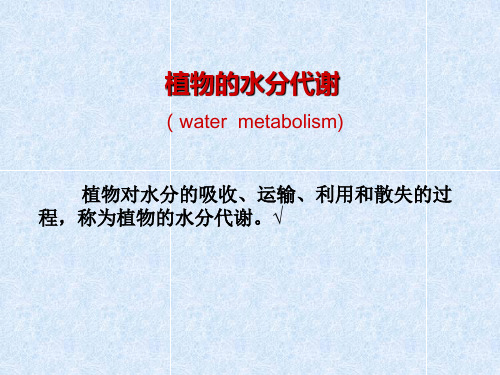 2010第1章  水分生理(植物的水分代谢课件)