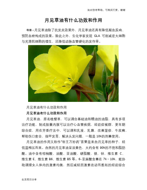 月见草油有什么功效和作用