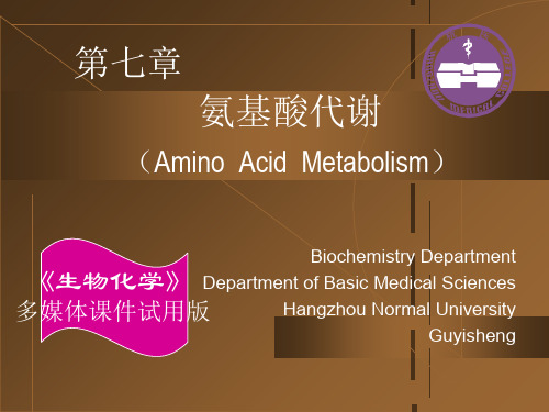 氨基酸代谢生物化学