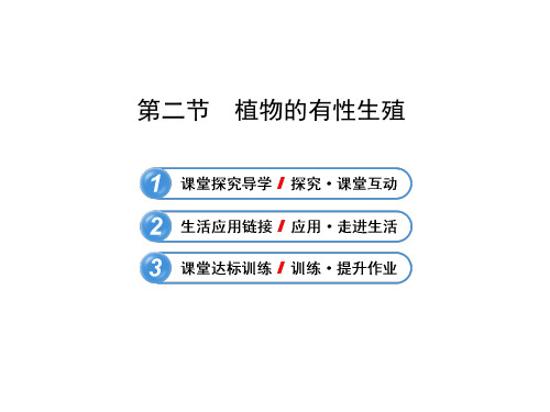 14.2 植物的有性生殖 课件 (苏教版八年级下)