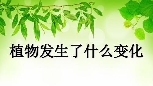 三年级上册科学-植物发生了什么变化l教科版-PPT课堂课件