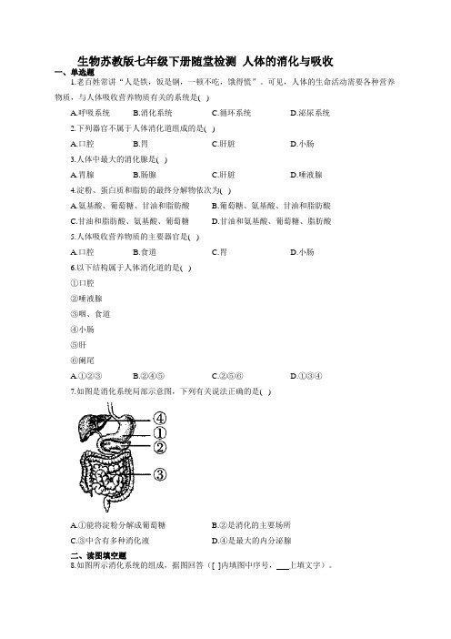 生物苏教版七年级下册随堂检测  人体的消化与吸收(有答案)