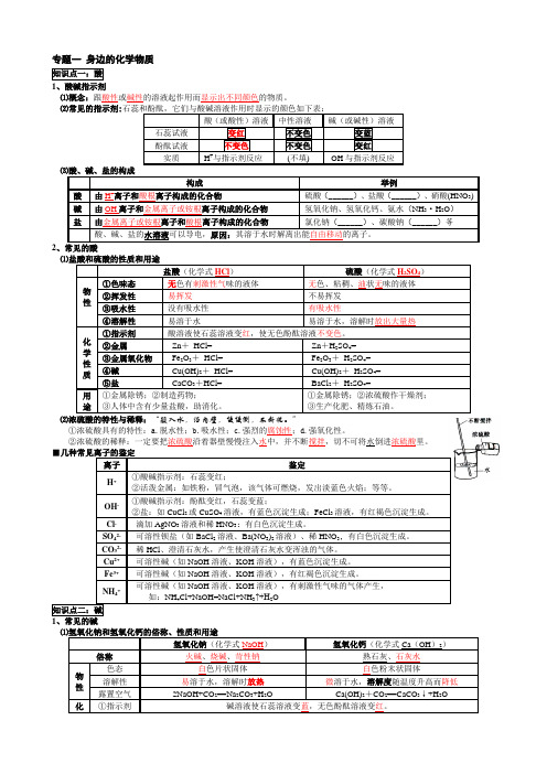 化学-酸碱盐-讲义