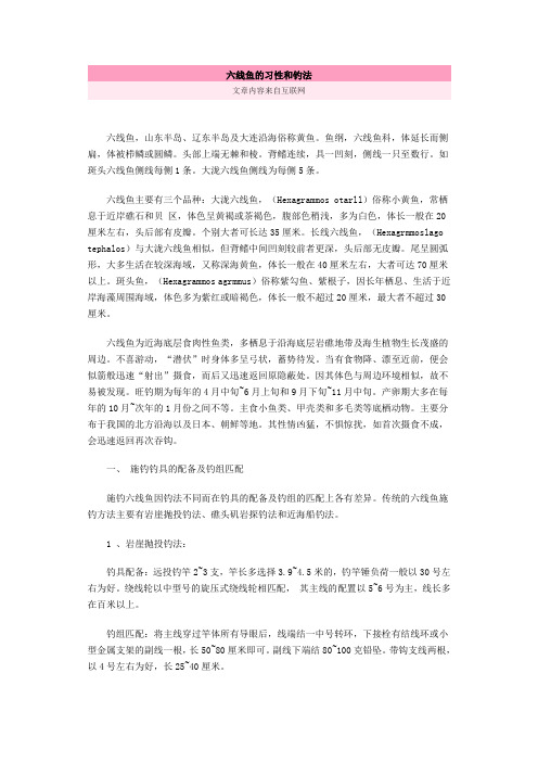 六线鱼(小黄鱼)的习性和钓法