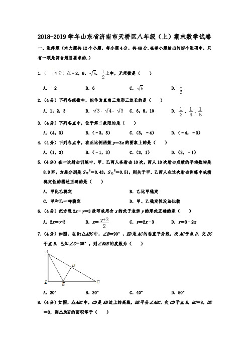 山东省济南市天桥区2018-2019学年八年级(上)期末数学试卷