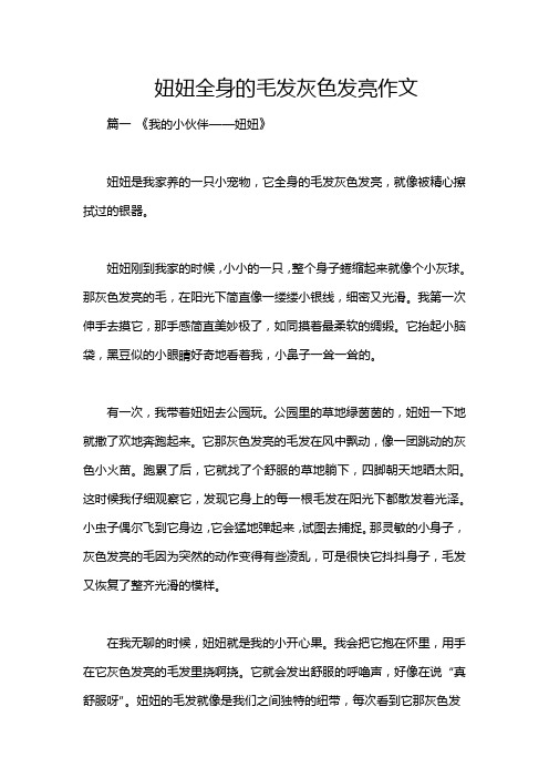 妞妞全身的毛发灰色发亮作文