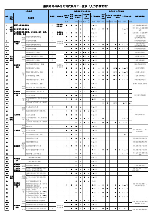 集团总部与各分公司权限分工一览表(人力资源管理)