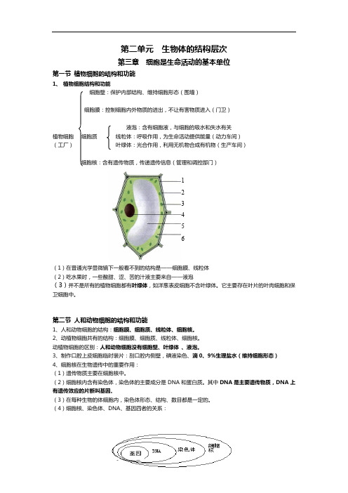 2七年级上册第二单元生物知识点