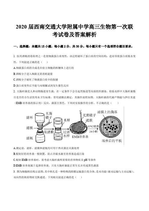 2020届西南交通大学附属中学高三生物第一次联考试卷及答案解析