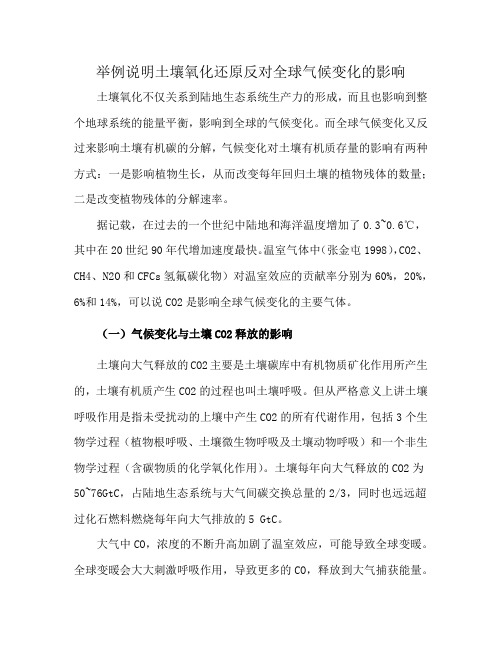 举例说明土壤氧化还原反对全球气候变化的影响