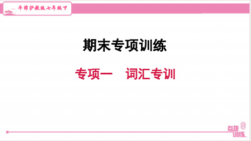 最新沪教牛津版七年级下册英语期末复习专项一 词汇专训