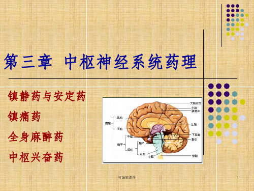 药理学第三章中枢神经系统药理ppt课件