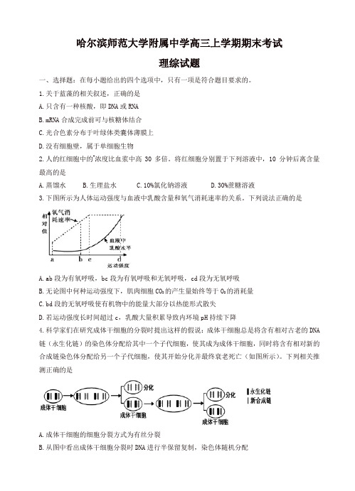 黑龙江省哈尔滨师大附中高三上学期期末考试理综试卷(有答案)