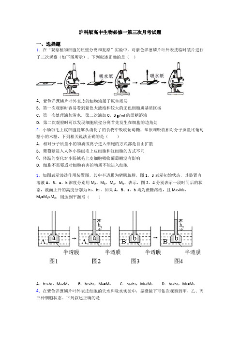 沪科版高中生物必修一第三次月考试题