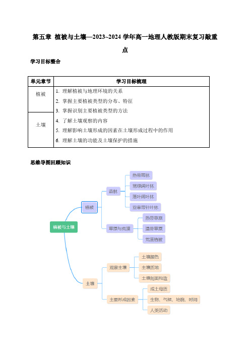 【地理教学】植被与土壤期末复习敲重点 2023-2024学年高一地理人教版(2019)必修一