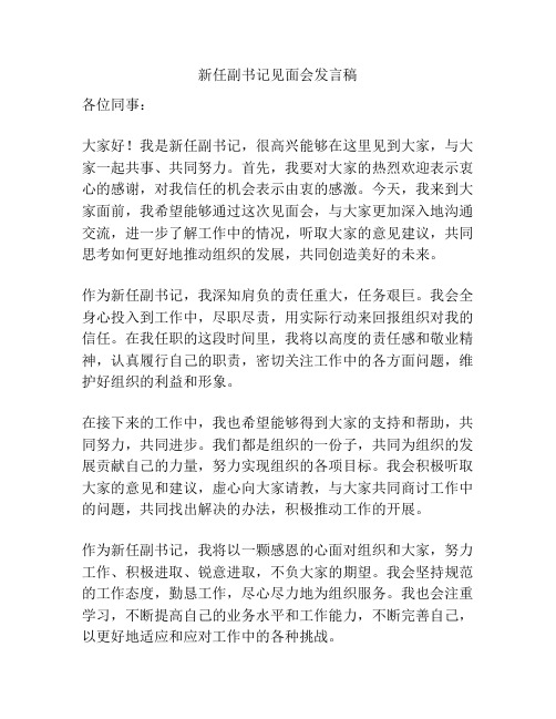 新任副书记见面会发言稿