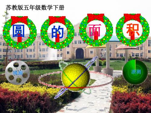 苏教版五年级数学下册课件 《圆的面积》第三课时教学课件