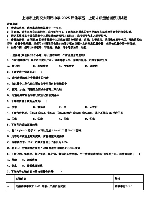 上海市上海交大附属中学2025届化学高一上期末质量检测模拟试题含解析