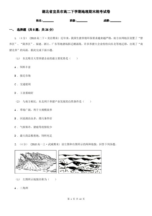 湖北省宜昌市高二下学期地理期末统考试卷