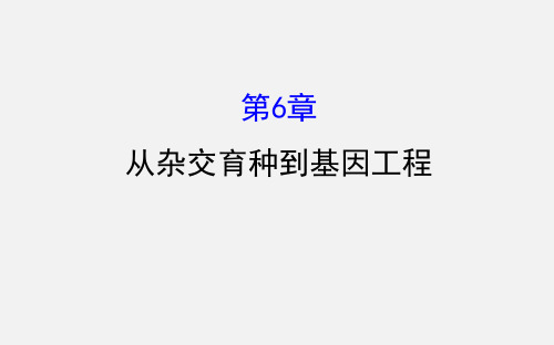 高考生物 一轮复习 第6章 从杂交育种到基因工程 新人教必修2 (2)