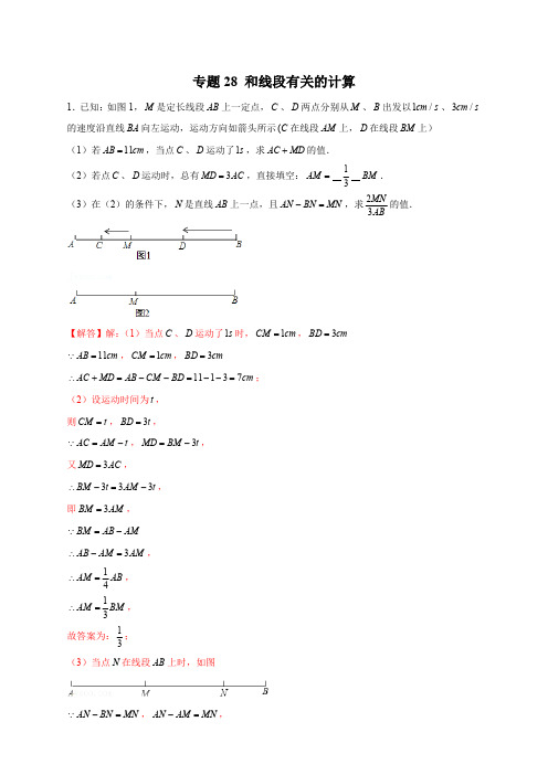 部编数学七年级上册专题28和线段有关的计算(解析版)含答案