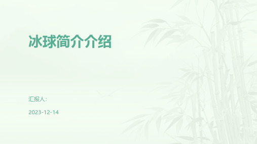 冰球简介介绍