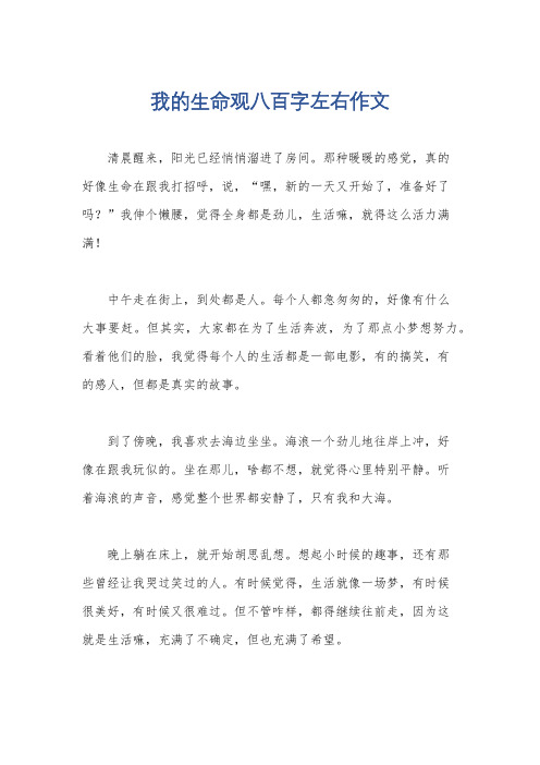 我的生命观八百字左右作文