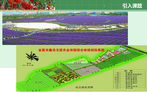 无土栽培技术课件