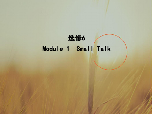 2018高考英语外研版大一轮复习课件 选修六 Module 1 Small Talk 精品