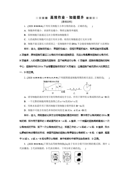 2021版高考生物(人教版)一轮复习高效作业知能提升：第四单元 第11讲 细胞的增殖 Word版含解析