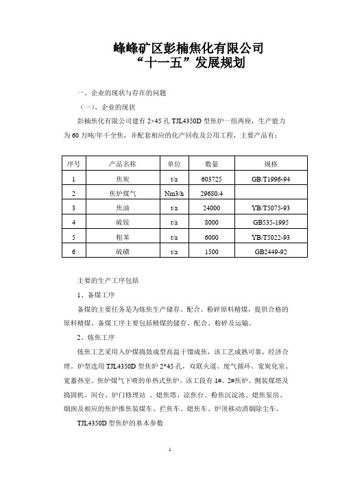 彭楠焦化115发展规划