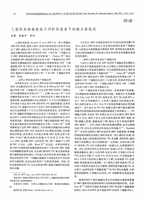 乙型肝炎病毒感染不同阶段患者T细胞应答状况