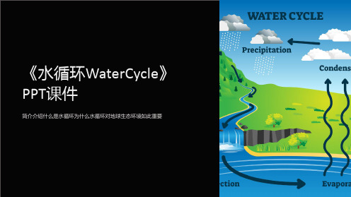 《水循环WaterCycle》课件