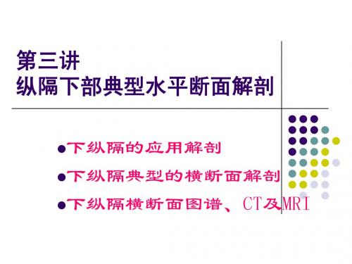 断面解剖纵膈下