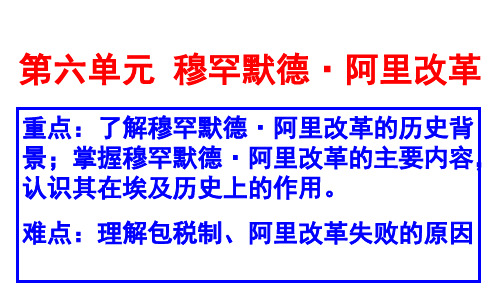 第六单元 穆罕默德阿里改革